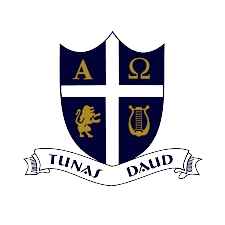 logoTD